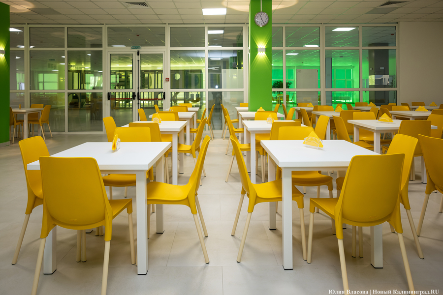 От дрона до 3D-принтера: в Калининграде открылась «школа для школы» на Каштановой аллее (фото)