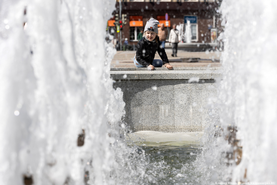 «Быки» и «младенцы»: в Калининграде начался сезон фонтанов (фото)