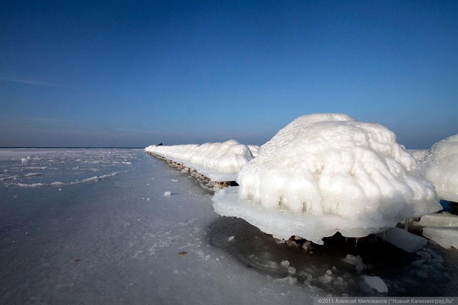 "Аки посуху": фоторепортаж "Нового Калининграда.Ru"