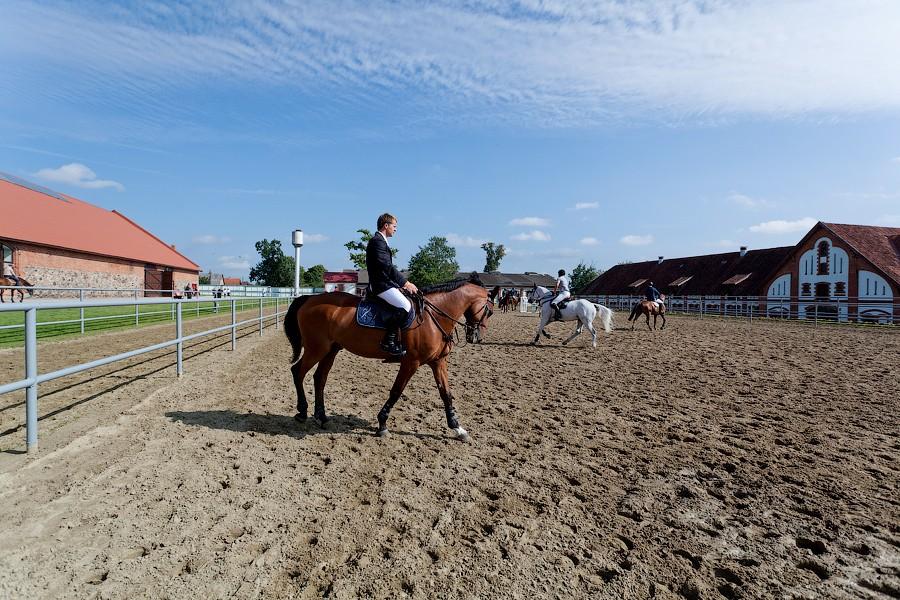 «Шляпки, лошади, конкур»: фоторепортаж «Нового Калининграда.Ru»