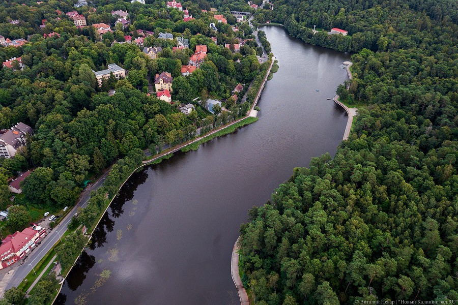 Власти Светлогорска выделяют 2,5 млн компании Башина на проект парка «Муза»