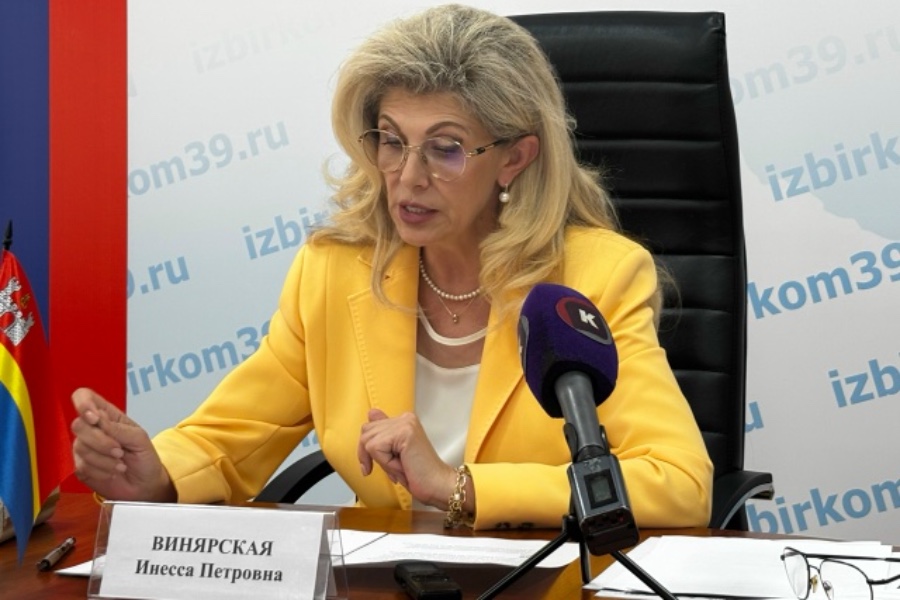Тройная избирательная кампания: облизбирком рассказал об особенностях грядущих выборов