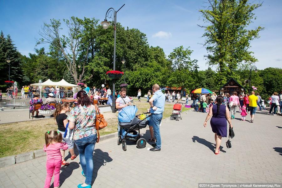 Пустые прилавки: как в Калининграде вступил в силу антитабачный закон