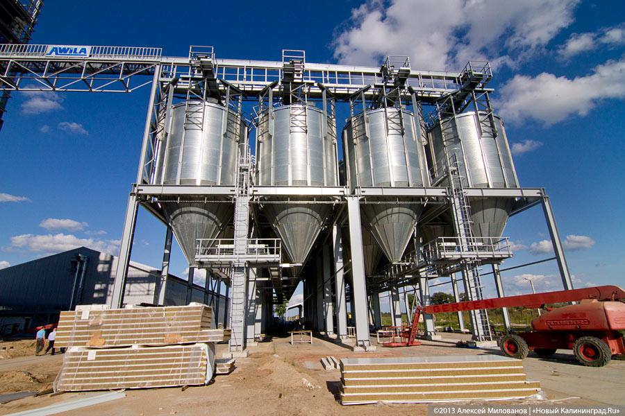 «Я все пью, а мне все хуже»: как Краснознаменск встретил Николая Цуканова