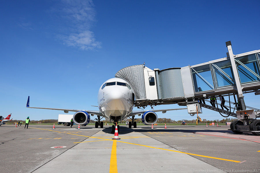 Нужен берег турецкий: из Калининграда вылетел первый чартер Turkish Airlines в Анталью (фото)