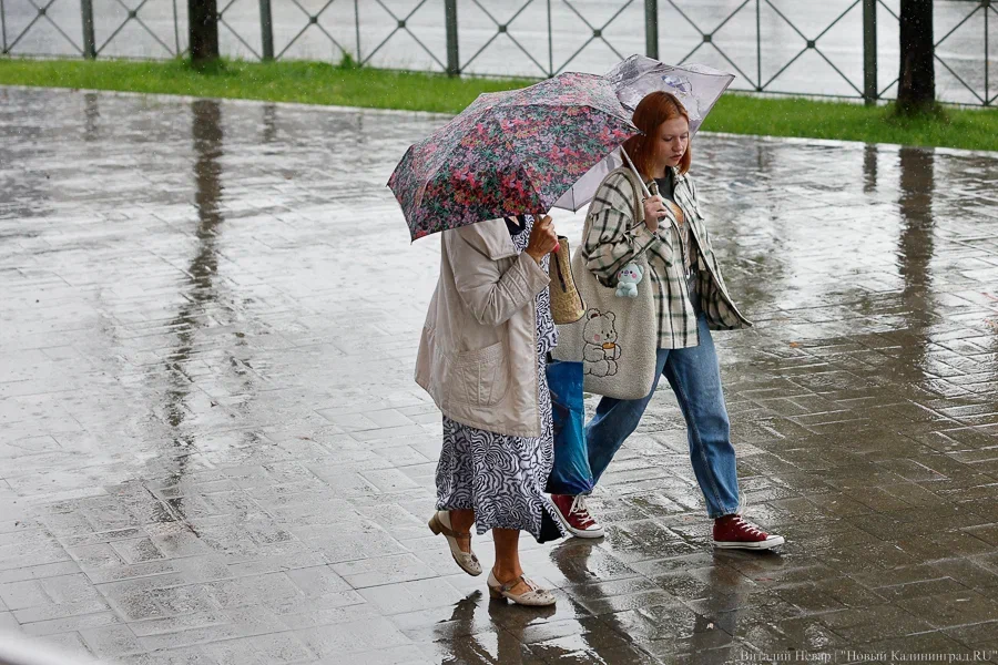 Интенсивные дожди и подтопления: прогноз погоды в Калининграде на неделю