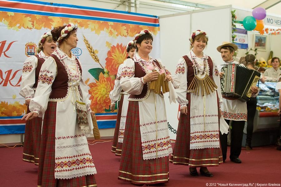 «По усам текло»: репортаж «Нового Калининграда.Ru» с выставки «Агрокомплекс-2012»