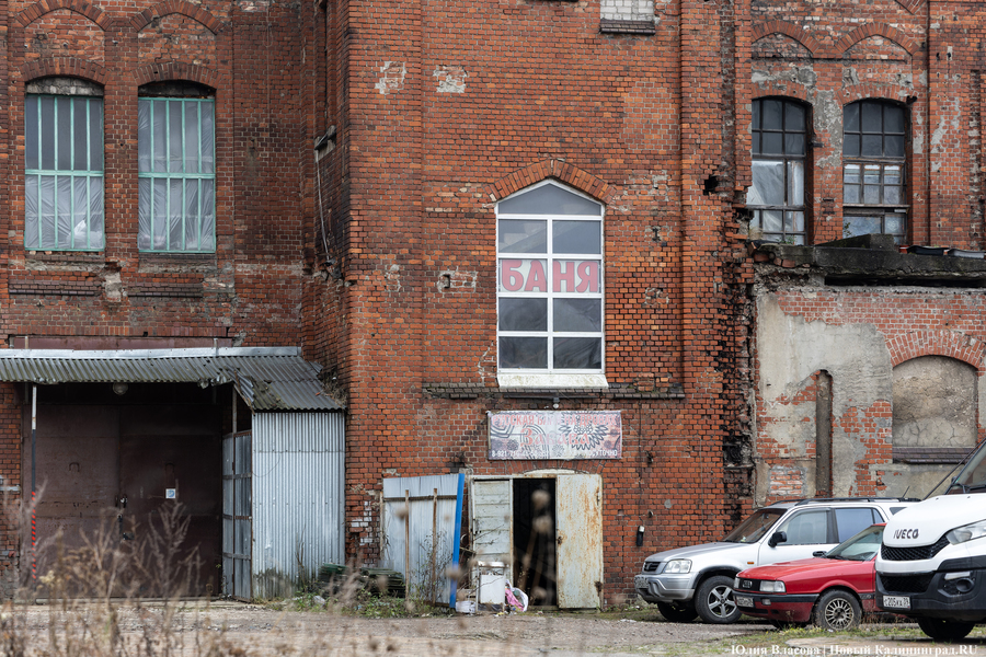 Постапокалиптический пейзаж: что происходит с территорией бывшего ЦБЗ-1 (фото)