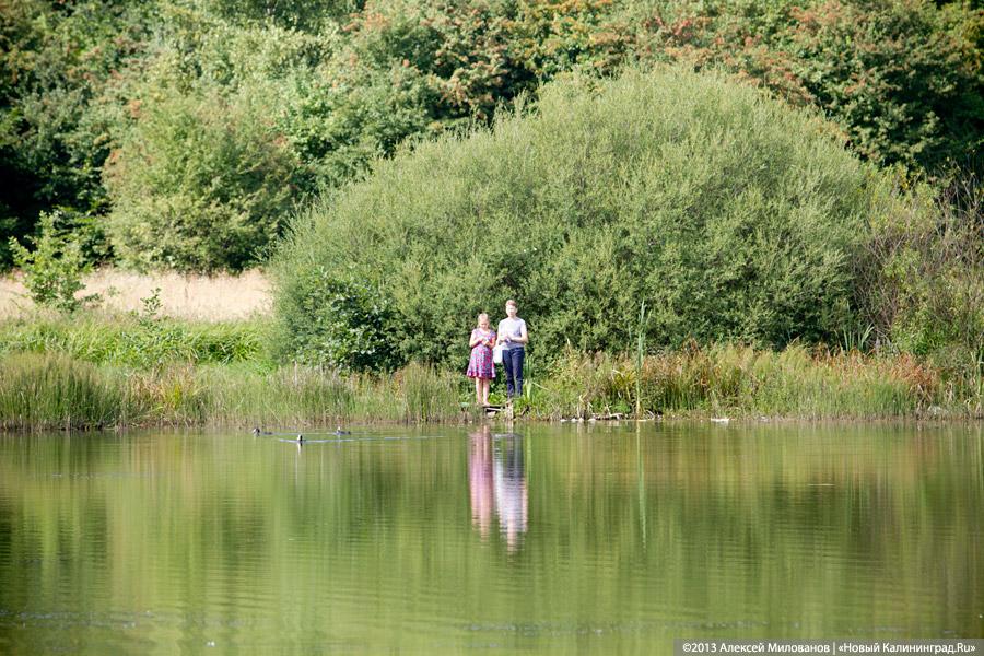 В ожидании чуда: судьба Макс-Ашманн-парка