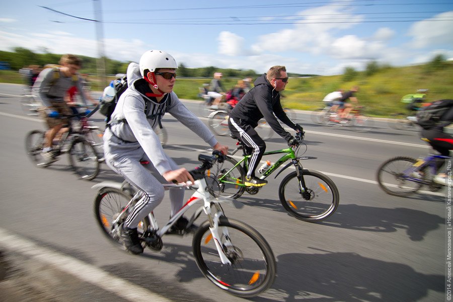 Велогонщики из Калининграда завоевали 10 медалей на всероссийских соревнованиях