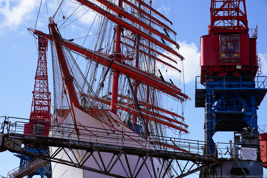 После кругосветки и перед новым рейсом: барк «Седов» проходит ремонт в Светлом (фото)
