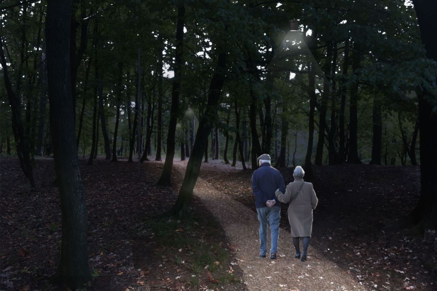 «Не затмить, не испортить, не утратить»: как хотят благоустроить парк Теодора Кроне