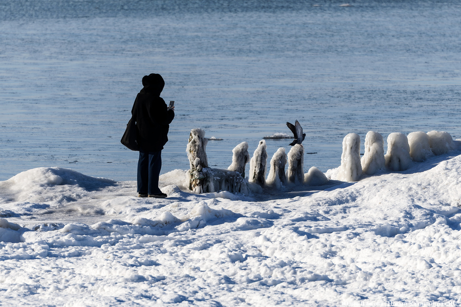 Балтика во льдах: как выглядит побережье после рекордных морозов