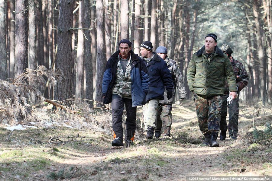 «Всех посчитали»: как происходит подсчёт диких животных на Куршской косе