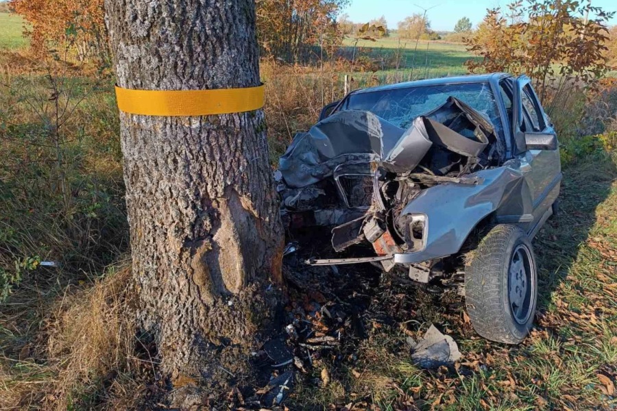 В Калининградской области за сутки в ДТП пострадали 3 человека