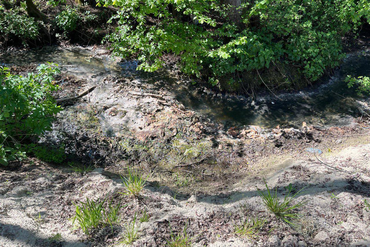 Прокуратура: два предприятия сбрасывали промышленные стоки в ручей под Багратионовском (фото)