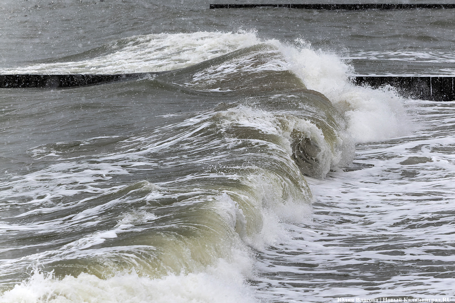 Штормовая вселенная: как циклон «Золтан» накрыл Зеленоградск (фото)