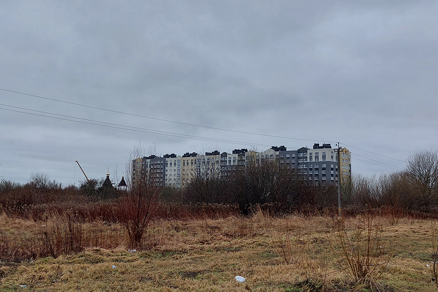 На ул. Громовой в Калининграде разрешили вырубить деревья и кустарники