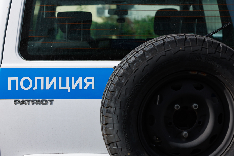 Жительница Правдинского округа попала под статью за жестокое обращение с животным