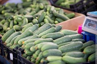 Рог неизобилия: как изменились цены и ассортимент в калининградских супермаркетах 