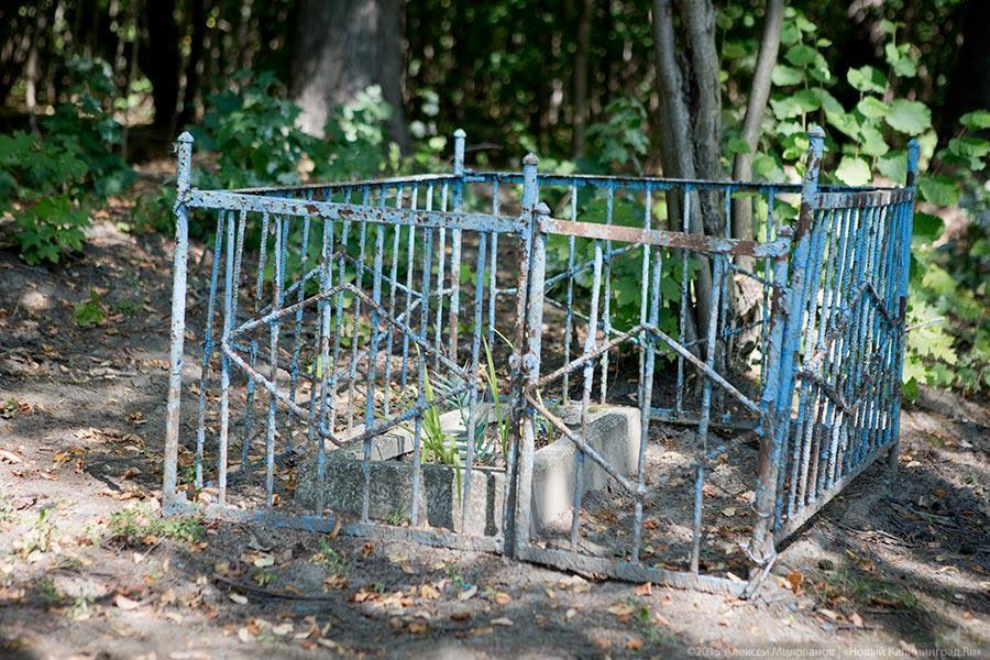 Найденные могилы: власти заинтересовались захоронениями на форту №3