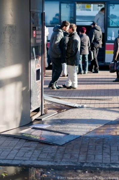 «А поутру они проснулись»: фоторепортаж «Нового Калининграда.Ru»