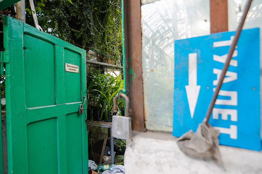 Экзотика в руинах: аварийные оранжереи Ботанического сада и их будущее