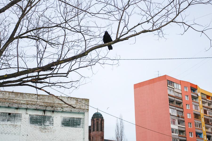 Автомастерская, фабрика, церковь: как строили и восстанавливали Кирху Креста на Острове