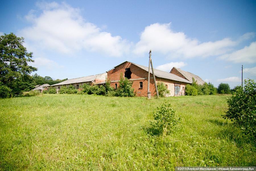 Остатки роскоши прусского барокко: усадьба в Рощино в проекте «Пустые дома»