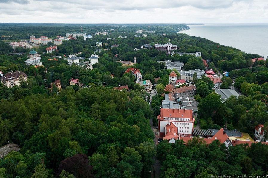 Светлогорским чиновникам не удалось взыскать с директора закрытой фирмы 25 млн долгов