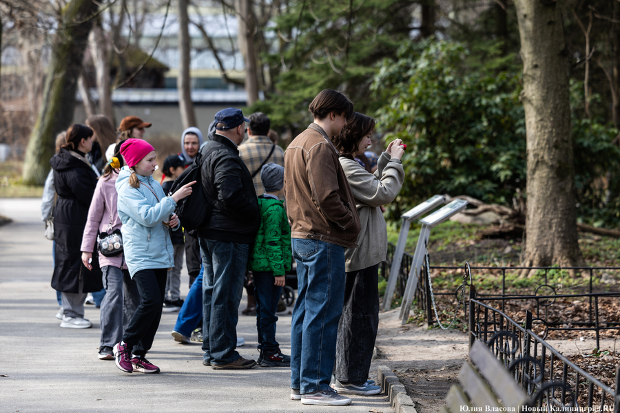 И пух, и перья: как в Калининградском зоопарке отметили День птиц (фото)