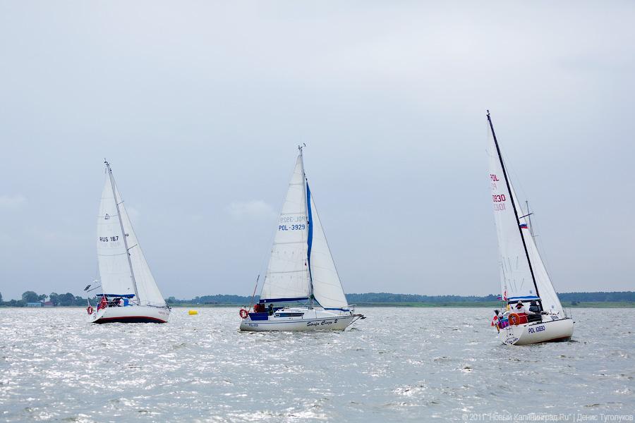 "Гонки под парусами": фоторепортаж "Афиши Нового Калининграда.Ru"