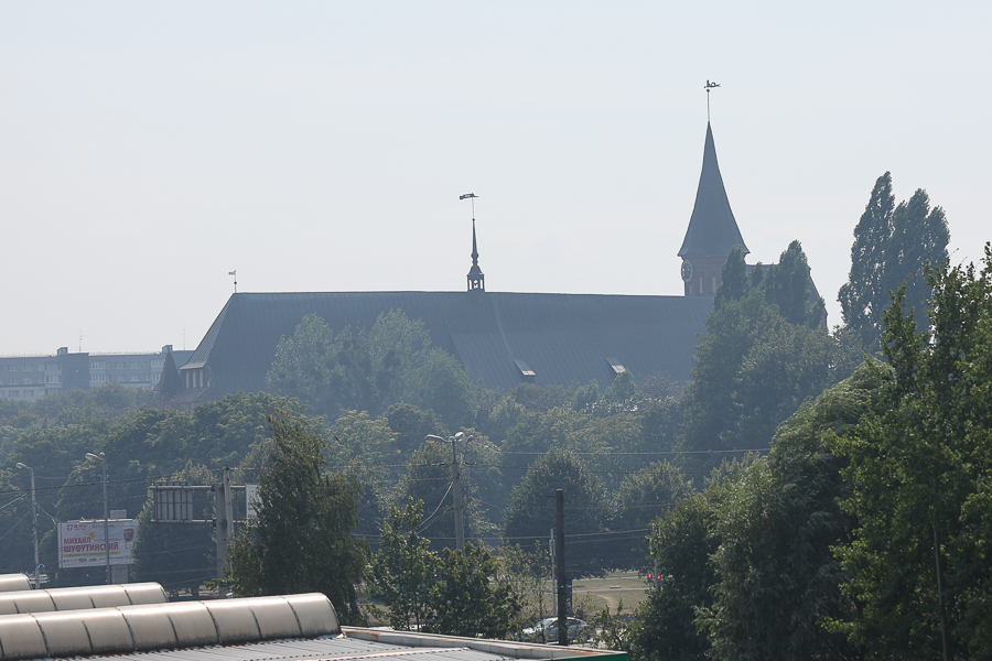 15 августа: Калининград заволокло дымом с горящих болот