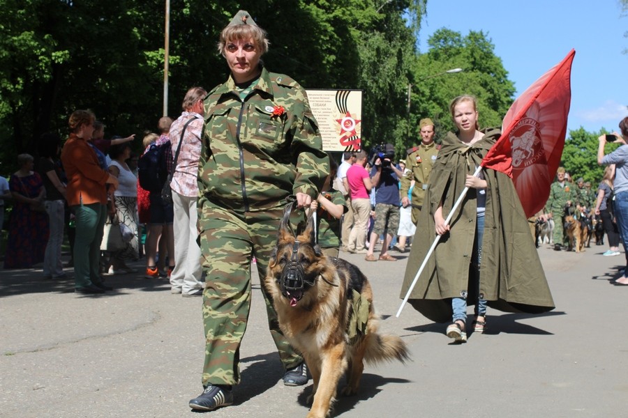В Калининграде впервые прошла акция «Лохматый полк» (фото)