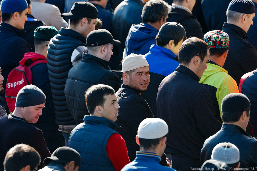 Сотни мусульман совершили под Калининградом молитву в честь Ураза-Байрам (фото)