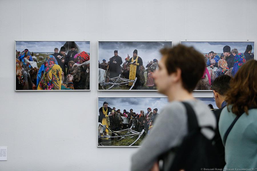 Фото — Виталий Невар, «Новый Калининград»