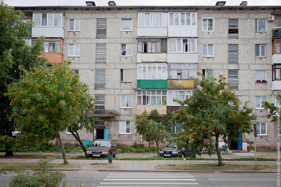 Фонари-чайки и шахматы на лавочке: будни Светлого