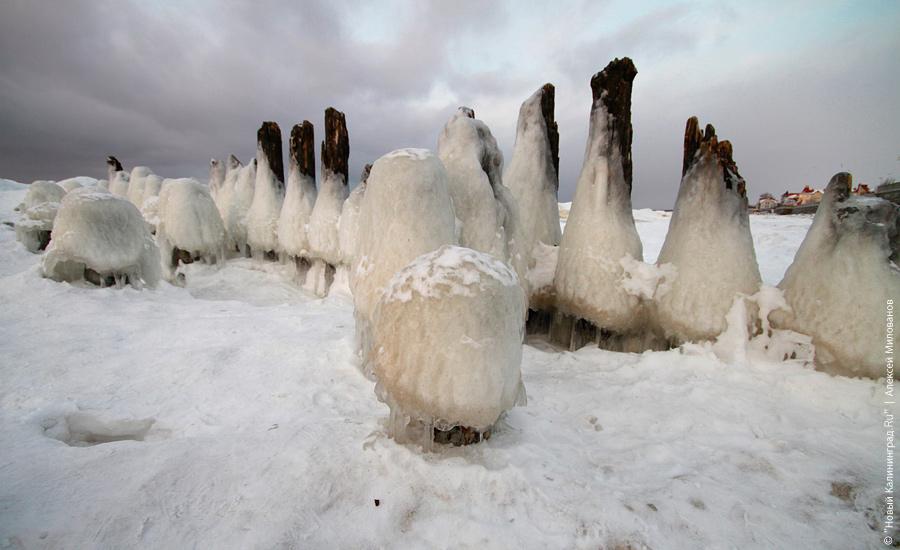 "Сцены у моря": фоторепортаж "Нового Калининграда.Ru"