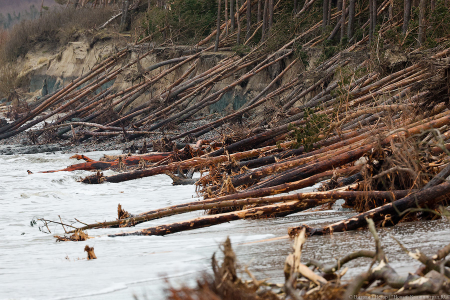 Кто здесь царь: последствия штормов на побережье (фото)