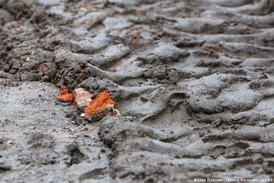 Руины Кнайпхофа: как проходит подготовка к благоустройству острова Канта (фото)