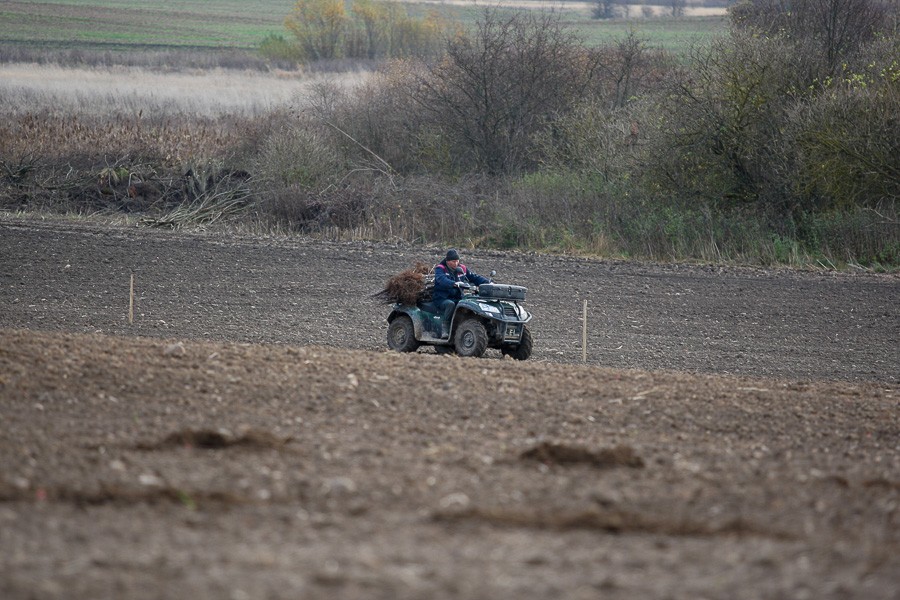 Областные власти лоббируют передачу земель ФСИН под Гвардейском холдингу Долговых