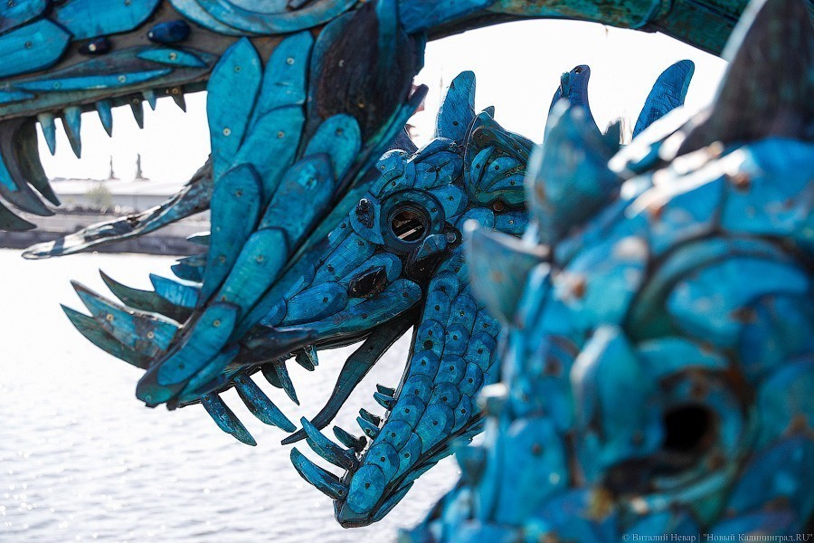 В Калининград пришел «Змей Горыныч». Мы побывали в его «чреве» (фото) (видео)