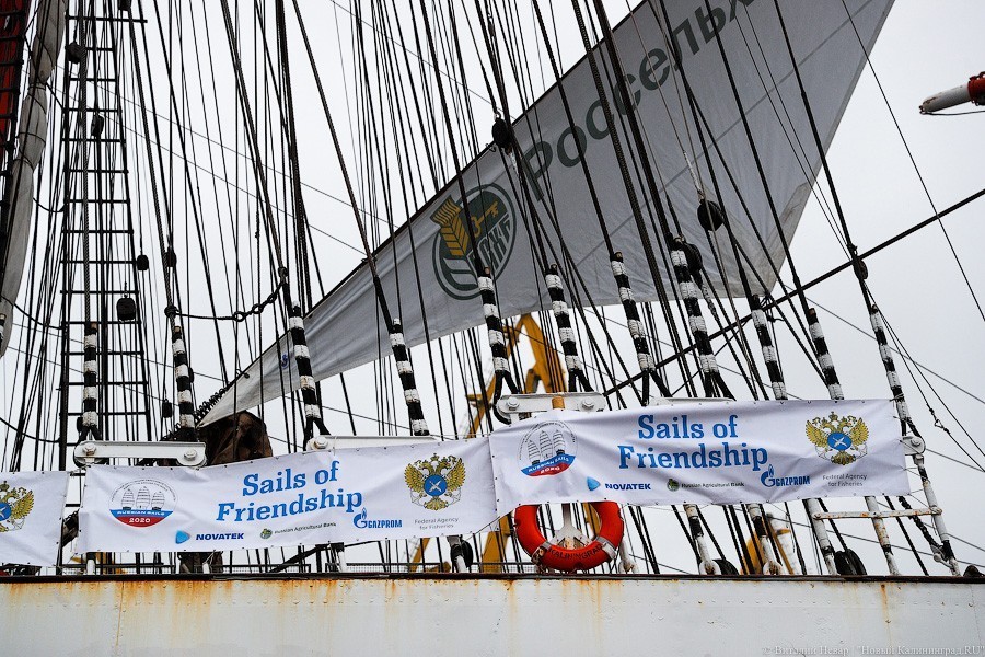 Ураган в паруса: «Крузенштерн» и «Седов» проводили в кругосветное плавание (фото)