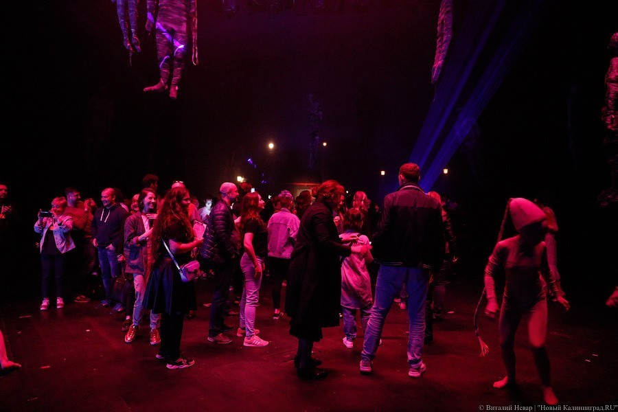 Гришковец по кругу: как прошла калининградская Музейная ночь