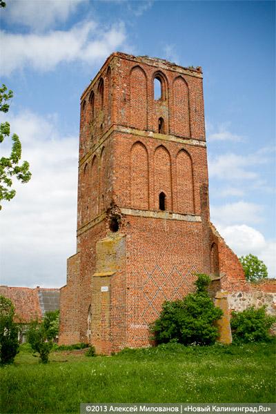 Навоз и куры: кирха 14-го века в поселке Каштаново стала пастбищем для скота