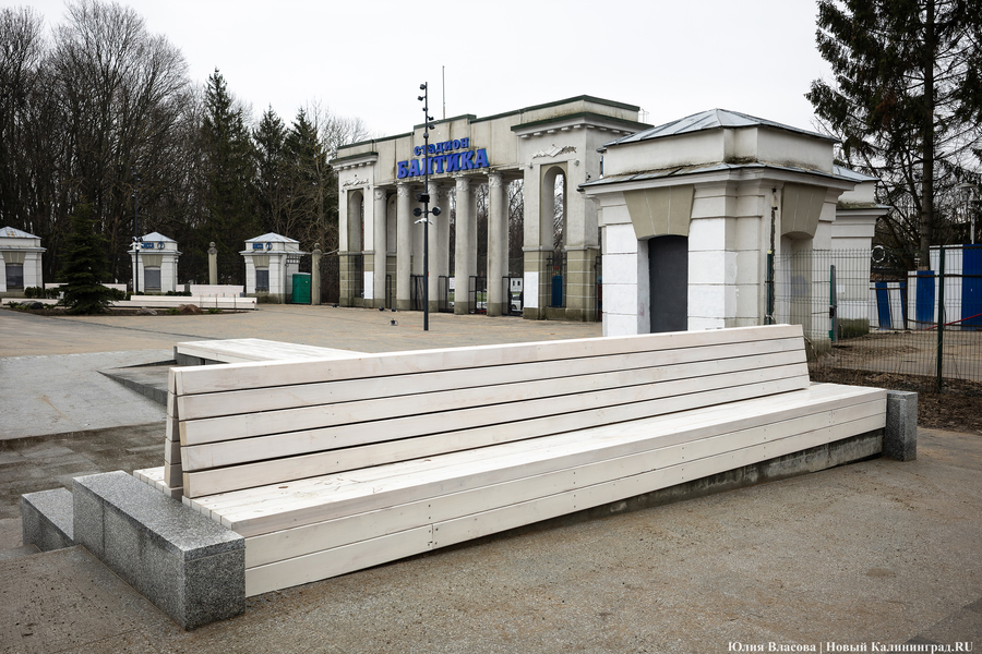 В трех соснах: как выглядит благоустроенная территория у стадиона «Балтика» (фото)