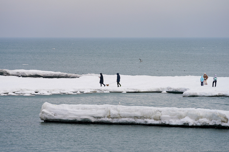 Зеленоградские чиновники выдворяют людей с тающего прибрежного льда (видео)