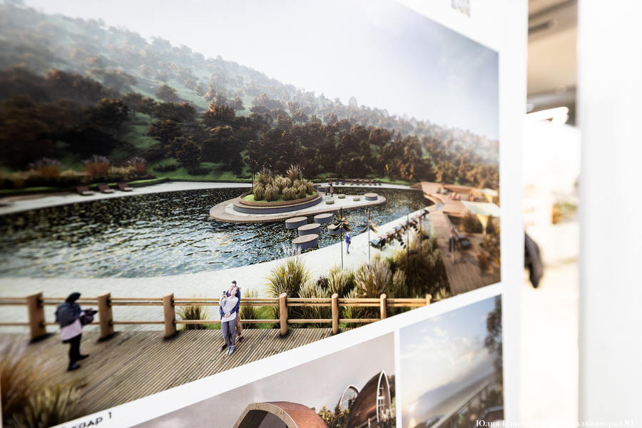 «Гнёзда» на Филинской бухте: проект из Москвы получил первую премию «ЭкоБерега» (фото)