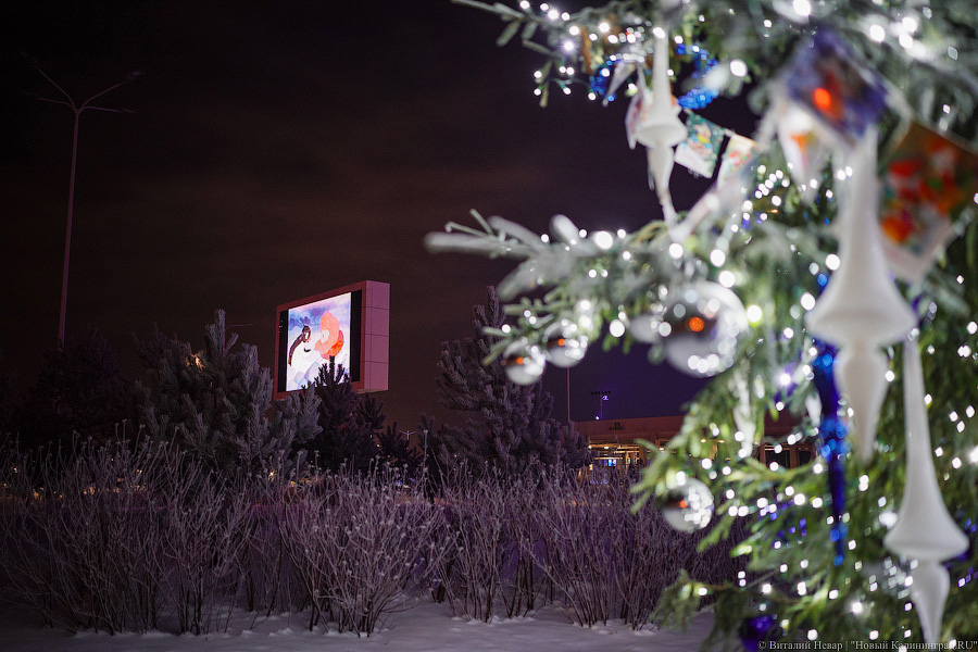 Свая Эдик вместо Снегурочки: у стадиона «Калининград» появился Домик Деда Мороза (фото)