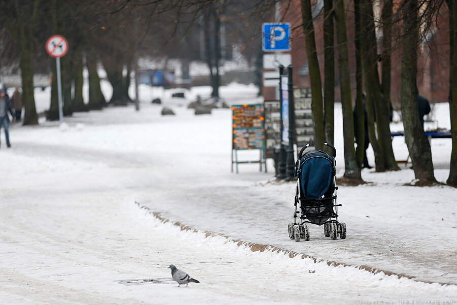 В России планируют ввести генетическое тестирование будущих родителей